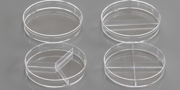Petri Dishes x 1